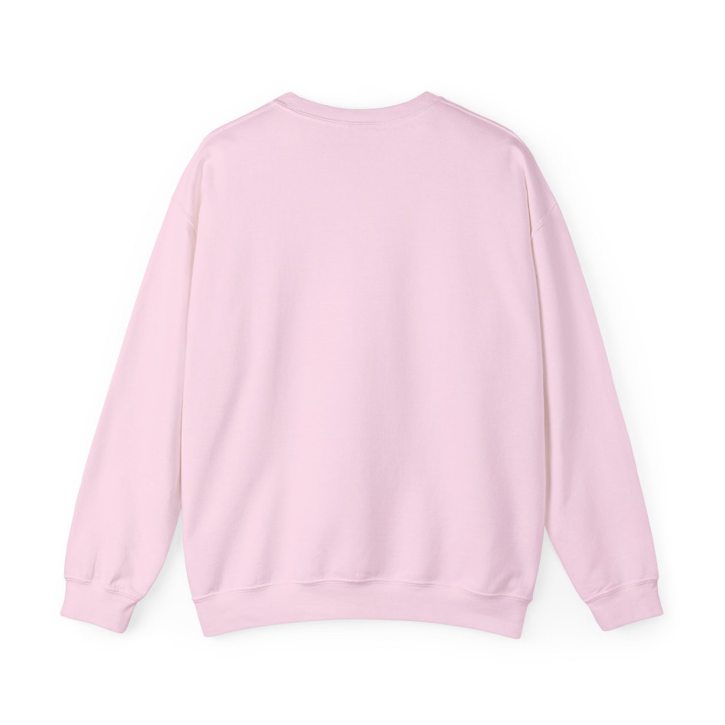 Charleston South Carolina Sweatshirt