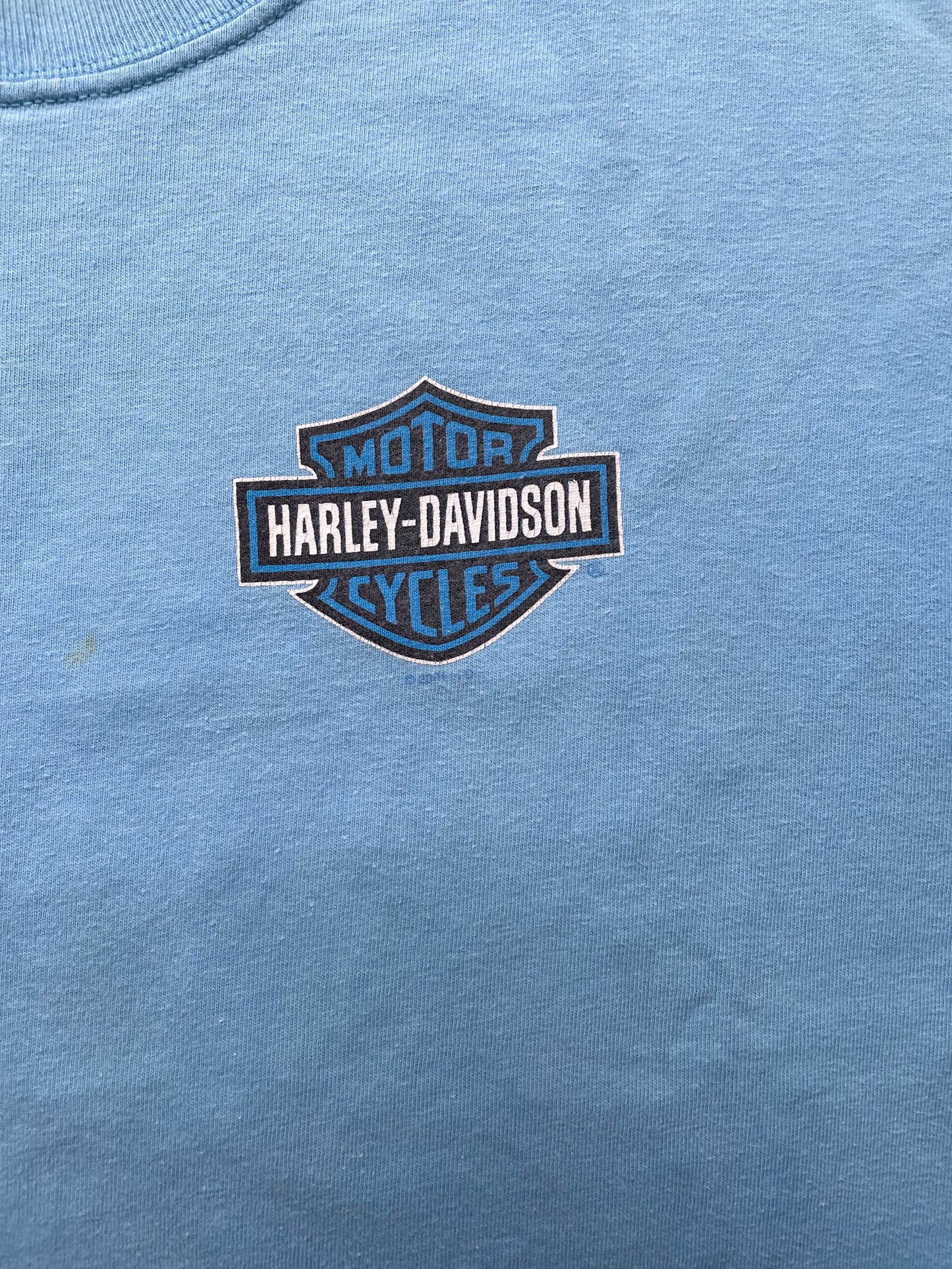 Vintage Harley Davidson t-shirt
