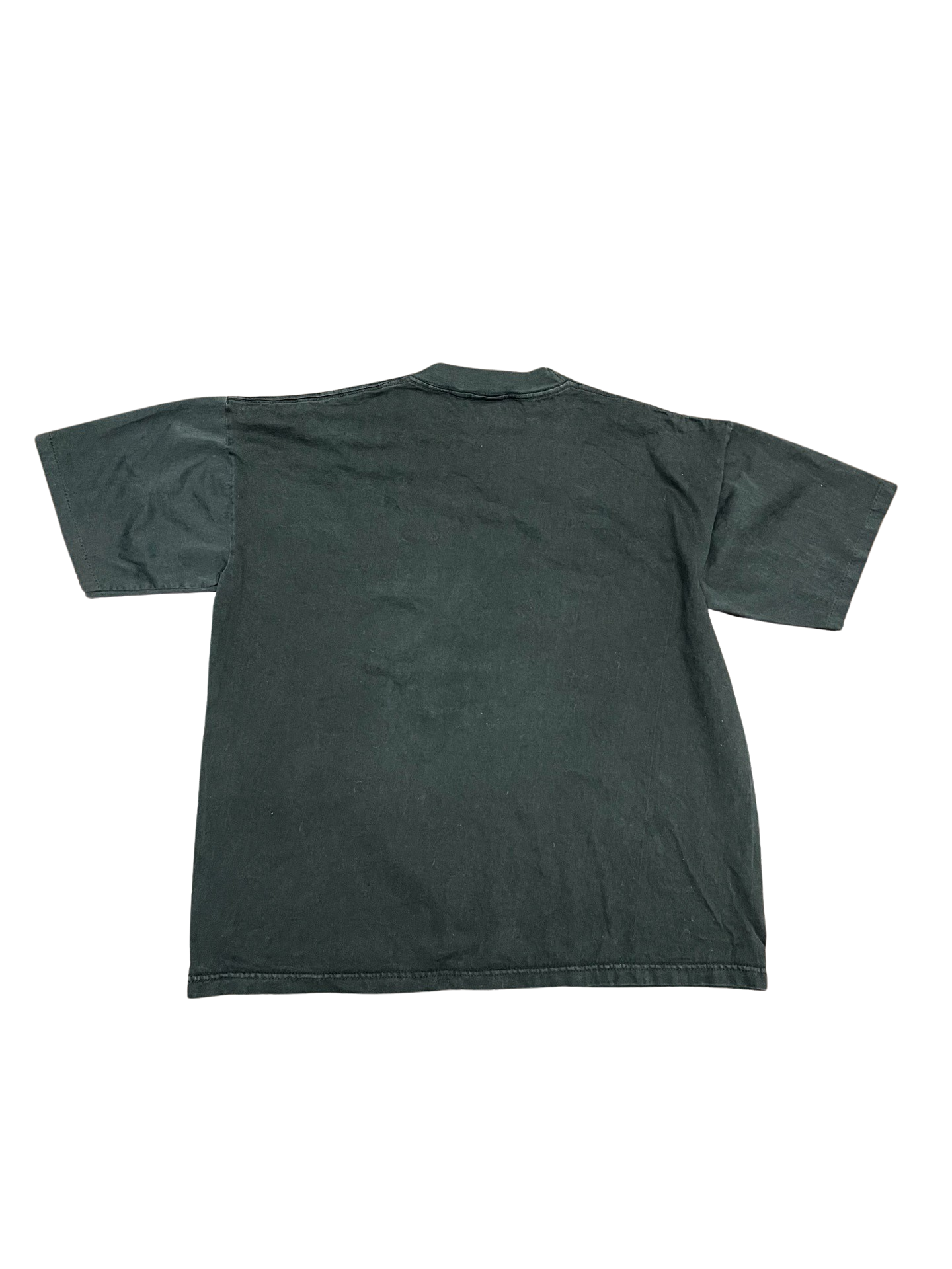 Vintage Beavis And Butthead Insect Court t-shirt